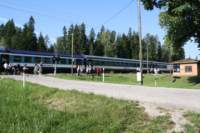 img_7602_small.jpg
