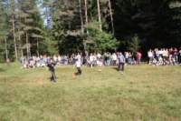 img_7631_small.jpg