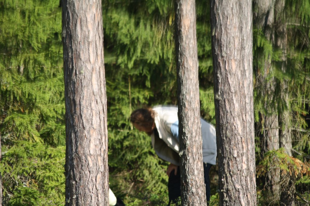 img_7694.jpg