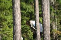 img_7694_small.jpg