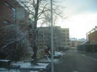 img_0072_small.jpg