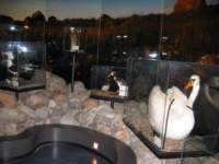 img_0100_small.jpg