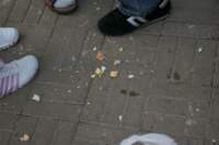 imgp1783_small.jpg