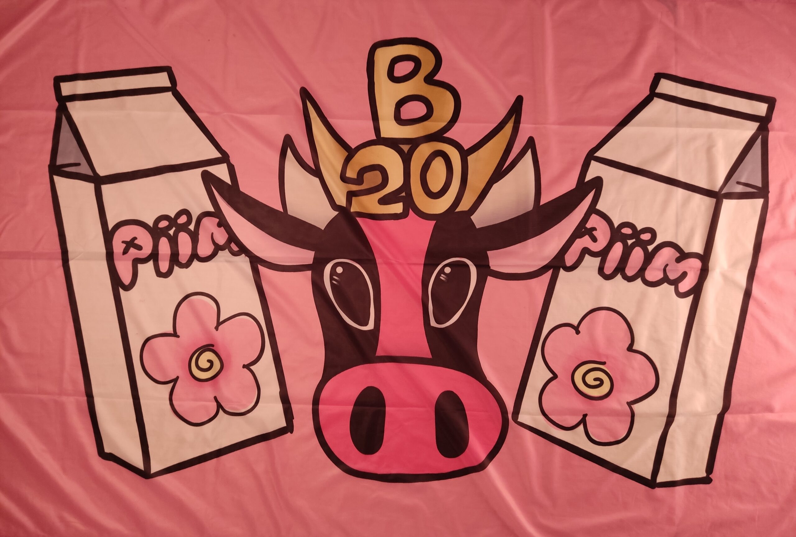B20 lipp